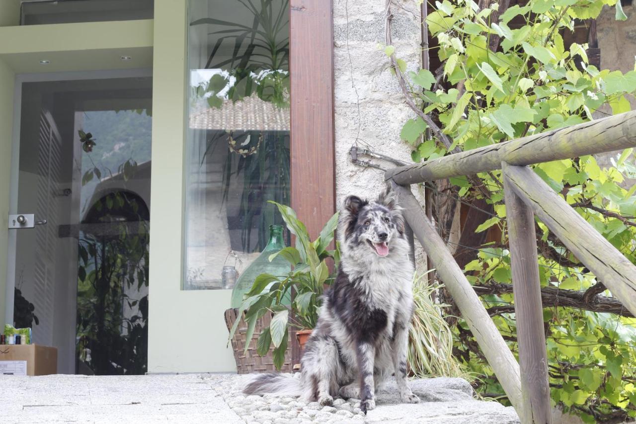 B&B Casa Gori Madice Zewnętrze zdjęcie